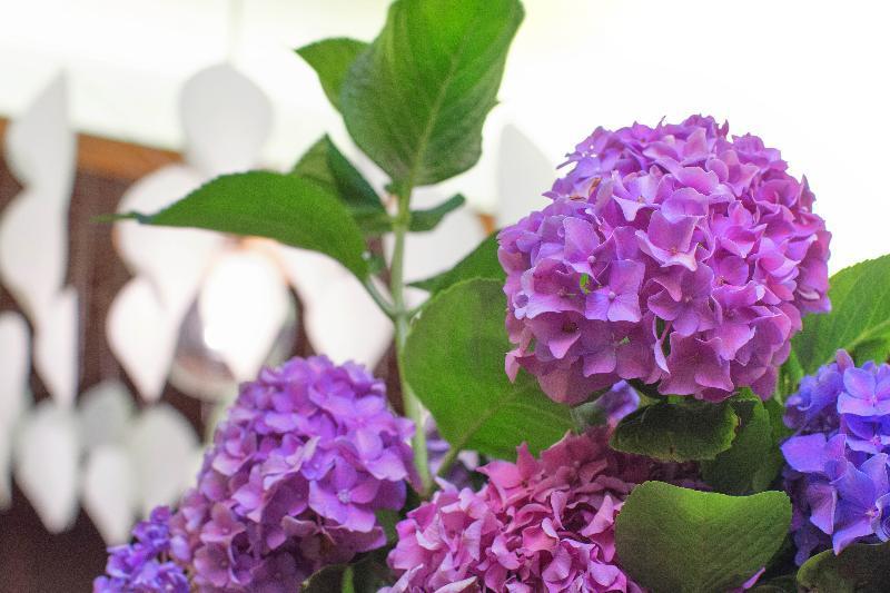 Lake Spirit Boutique Hotel & Spa อิโออันนินา ภายนอก รูปภาพ